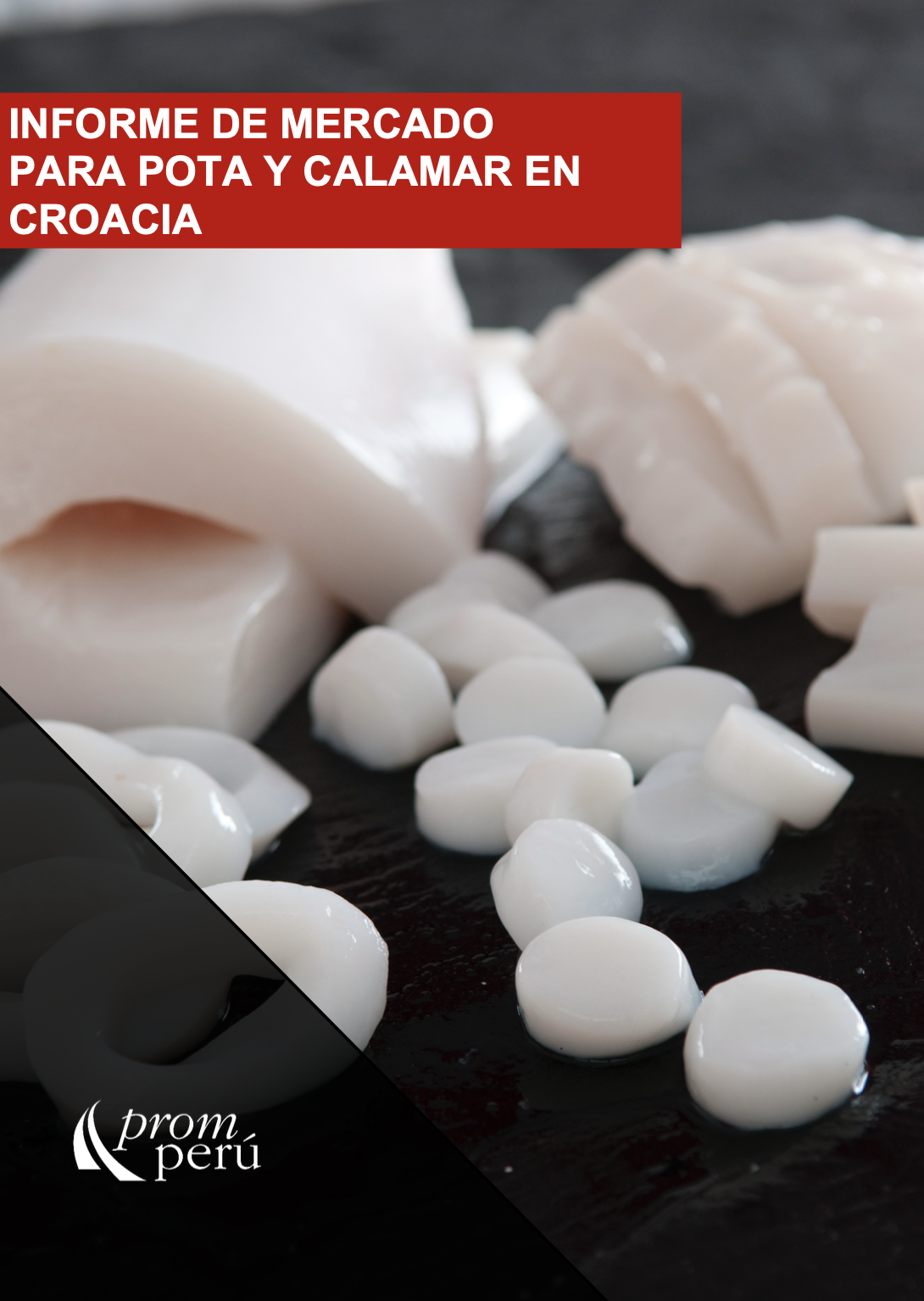 Informe Especializado Oportunidades para calamares y potas en Croacia